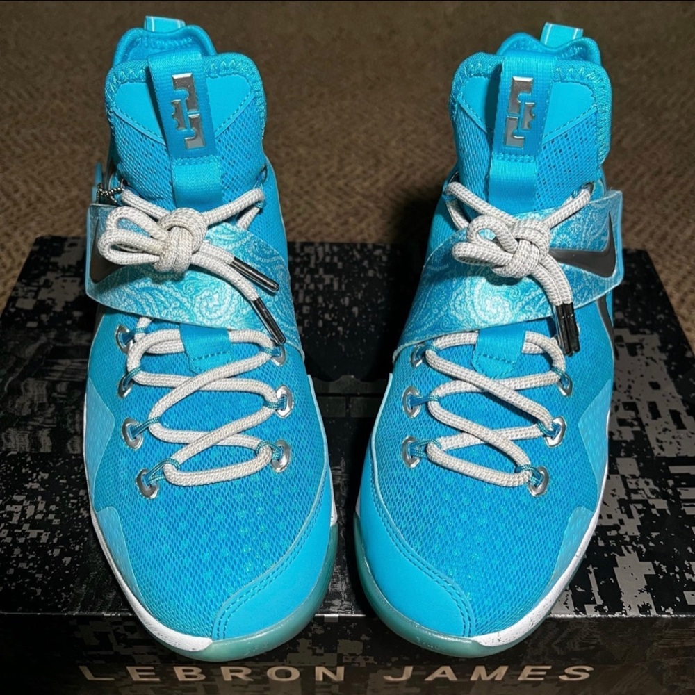 Nike Zoom LeBron XIV HWC (GS) Nature Boy (6.5Y) - Picture 2 of 7